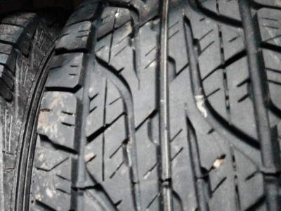 Dunlop.JPG