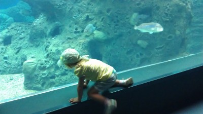 IMAG0065.jpg