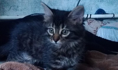 IMAG0389.jpg