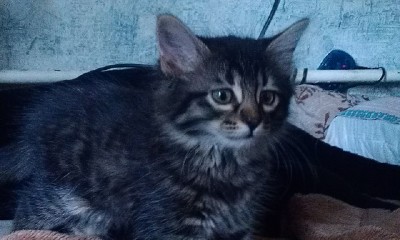 IMAG0387.jpg