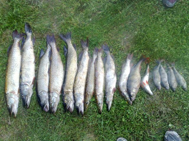 12062009178.jpg