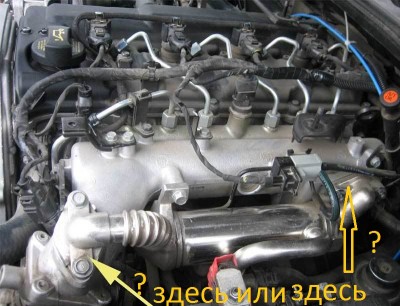 EGR_1-2.jpg