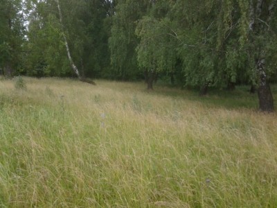 20140711_130413.jpg