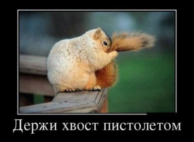 белка).jpg