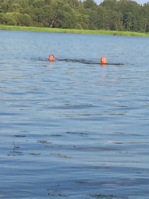IMG_5250.JPG