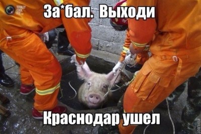 YBygbDkIFIg.jpg