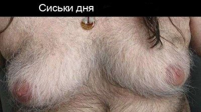 волосатые.jpg
