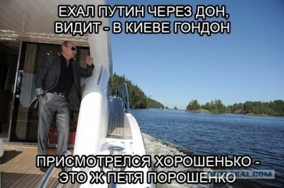3872603.jpg