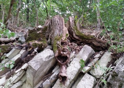 20140818_123805.jpg