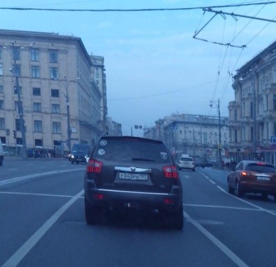 Муха.jpg