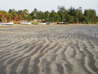 P1220757.gif