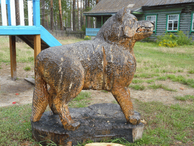 P1150643.gif