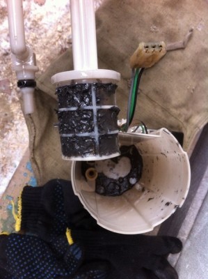 сетка.jpg (59.81 КБ) Просмотров: 9554 сетка.jpg