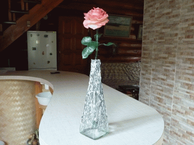 P1210232.gif