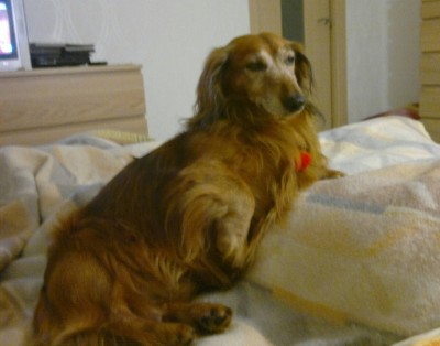 2012_09_.jpg