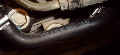 IMGP2179.jpg