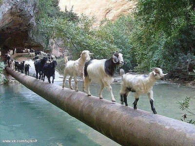 Новый год идет.jpg