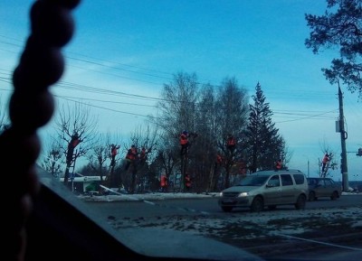 грачи прилетели.jpg