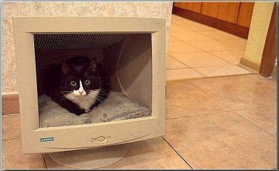 УЛЫБНУЛО ДОМ КОТА.jpg