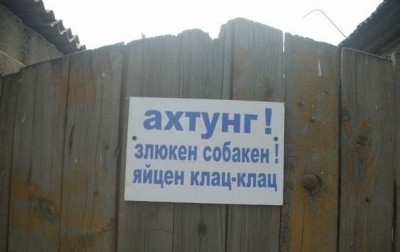 злая собака.jpg