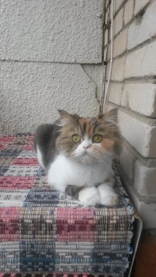 20140621_124535.jpg