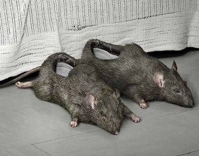 Улыбнуло тапочки.jpg