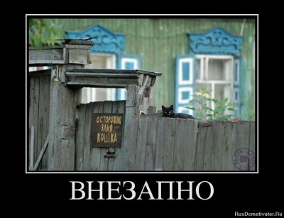 улыб осторожно злая кошка.jpg