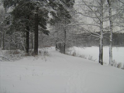IMG_1111.JPG