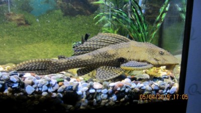 IMG_0898.JPG