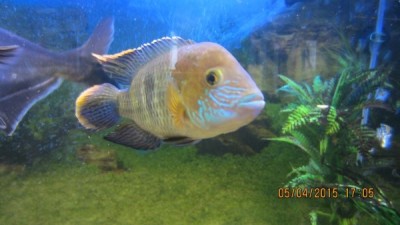 IMG_0900.JPG