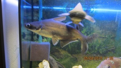 IMG_0902.JPG