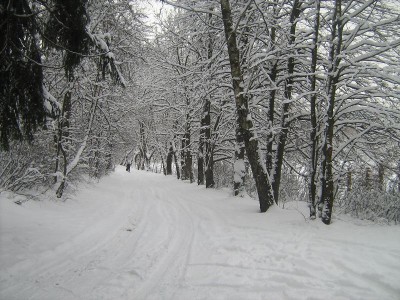 IMG_1098.JPG