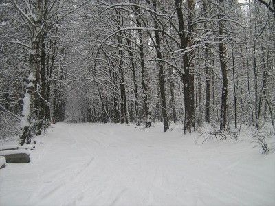 IMG_1108.JPG