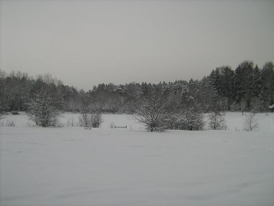 IMG_1102.JPG