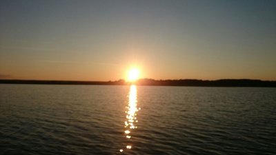 IMG_3687.JPG