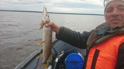IMG_3623.JPG