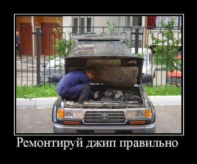 1273225947_15.jpg