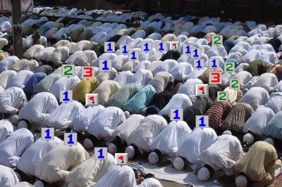 6267204.jpg