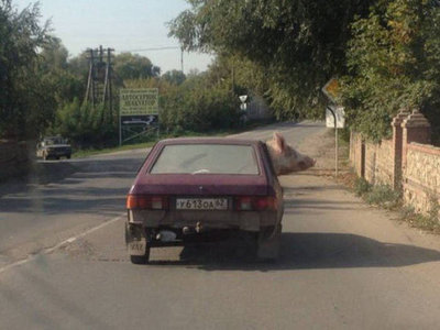 1445210715_27.jpg