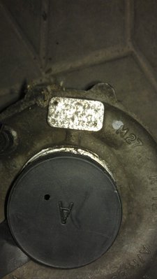 IMAG0170.jpg
