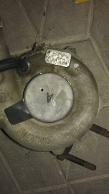 IMAG0171.jpg