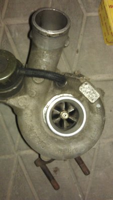 IMAG0173.jpg