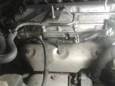 101971as-960.jpg