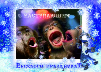 с новым.jpg