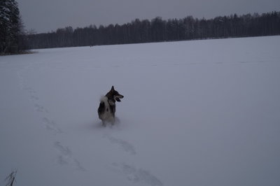 DSC06614_новый размер_новый размер.JPG