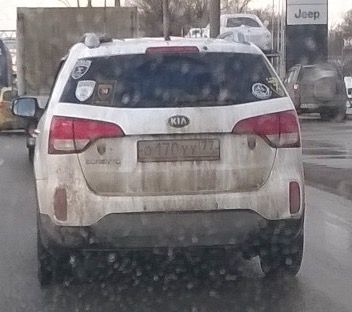 image.jpeg