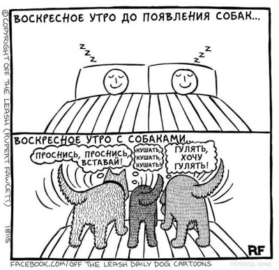 1458625108_sobak007.jpg