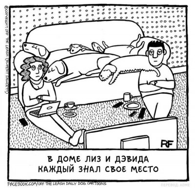 1458625153_sobak005.jpg