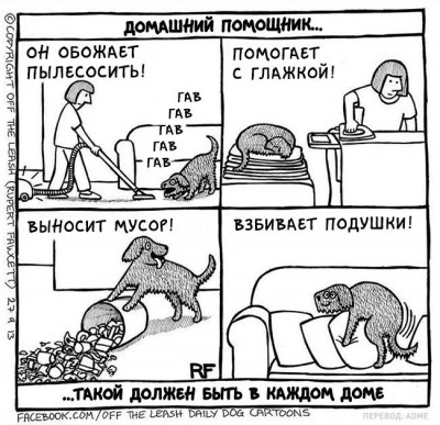 1458625172_sobak004.jpg