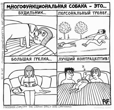 1458625201_sobak012.jpg